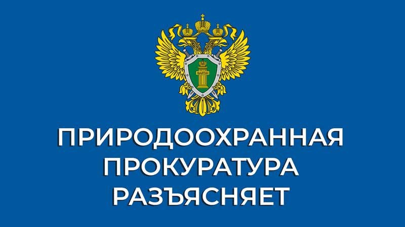 В Ульяновской области должностное лицо регионального министерства природы привлечено к  Административной ответственности.