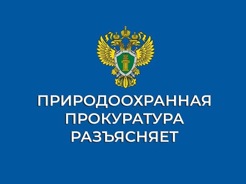 Ульяновская межрайонная природоохранная прокуратура разъясняет: Утвержден перечень случаев, при которых не требуется согласование деятельности с Росрыболовством.