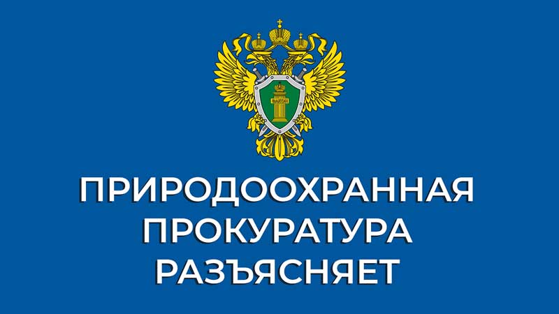 В Ульяновской области по материалам проверки природоохранной прокуратуры по факту воспрепятствования законной предпринимательской деятельности возбуждено уголовное дело..