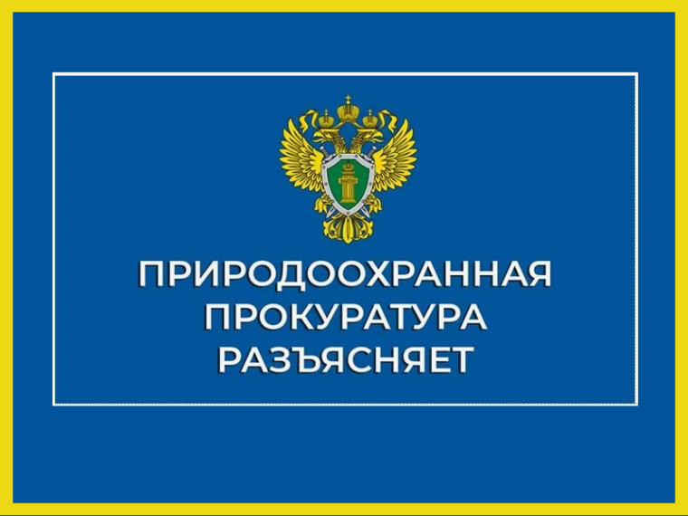 Ульяновская межрайонная природоохранная прокуратура разъясняет.. Ульяновская межрайонная природоохранная прокуратура разъясняет..